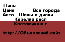 Шины bridgestone potenza s 2 › Цена ­ 3 000 - Все города Авто » Шины и диски   . Карелия респ.,Костомукша г.